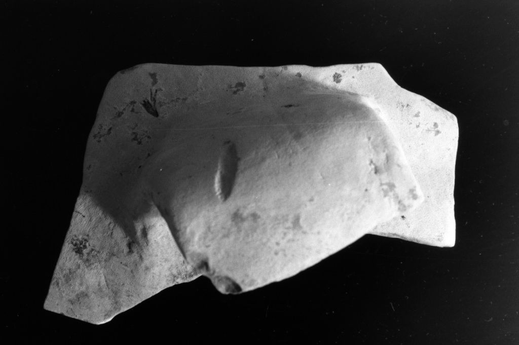 recipiente/ frammento (Neolitico Medio)