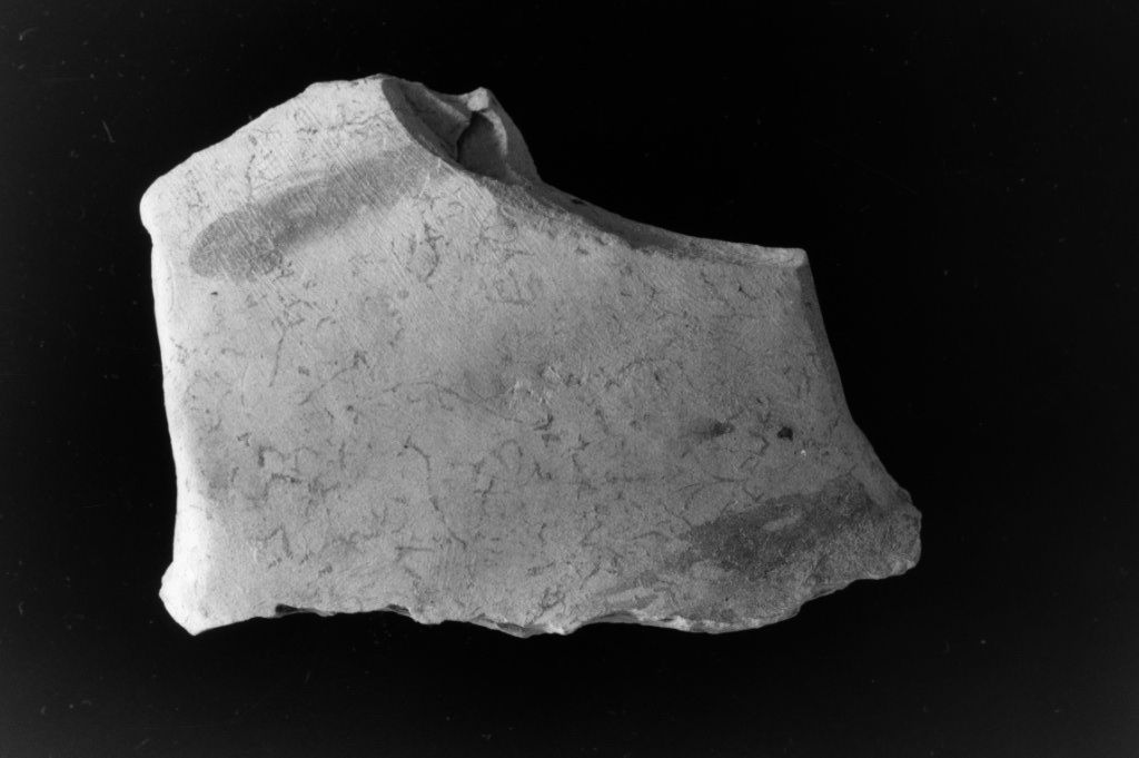 ansa (Neolitico Medio)