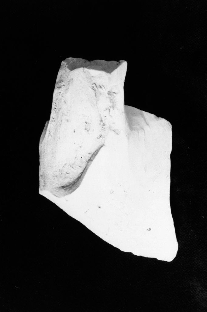 recipiente/ frammento (Neolitico Medio)