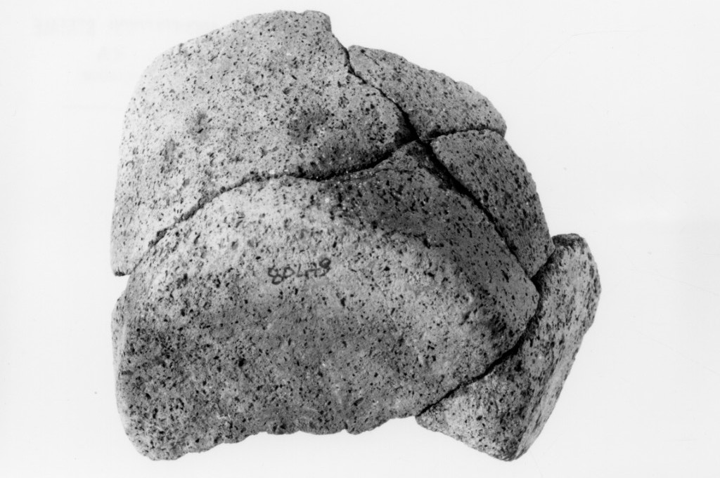 recipiente/ frammento (Neolitico)