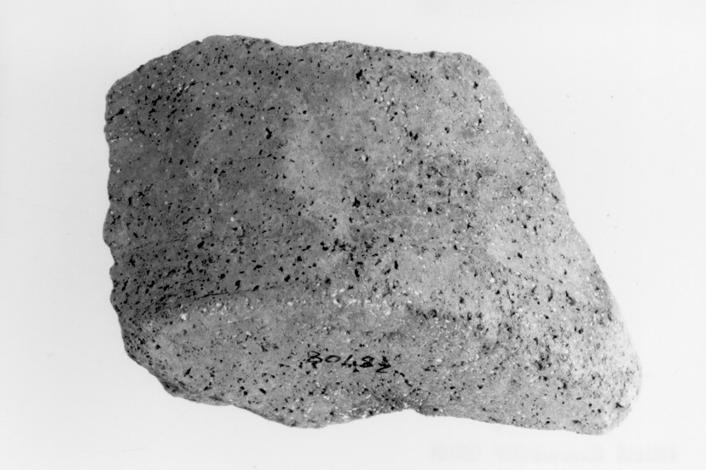 recipiente/ frammento (Neolitico)