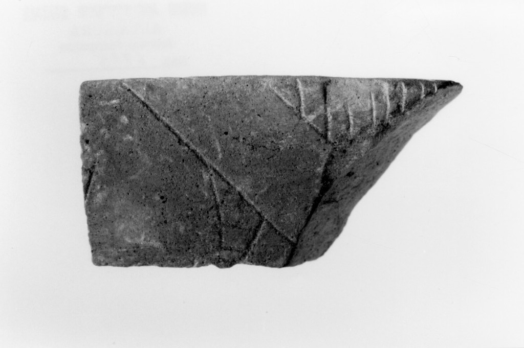 recipiente/ frammento (Neolitico Antico)