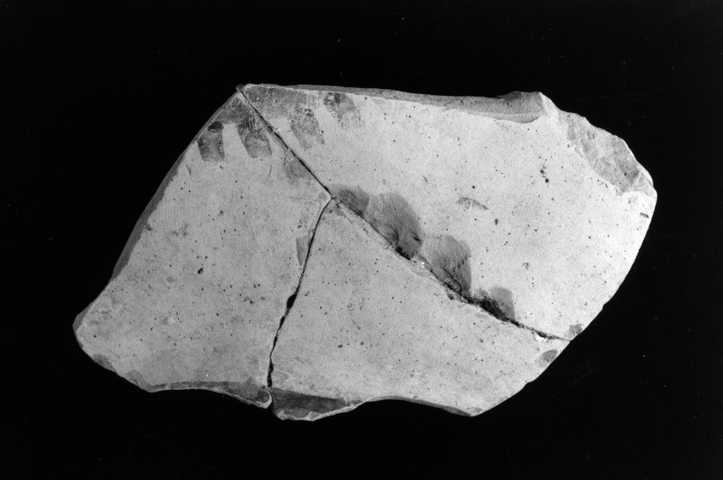 vaso/ frammento (Neolitico Medio)