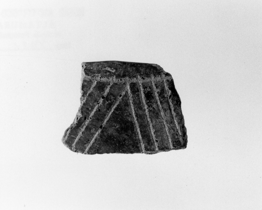 recipiente/ frammento (Neolitico Antico)