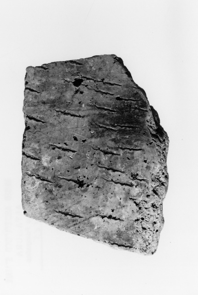 vaso/ frammento (Neolitico Antico)