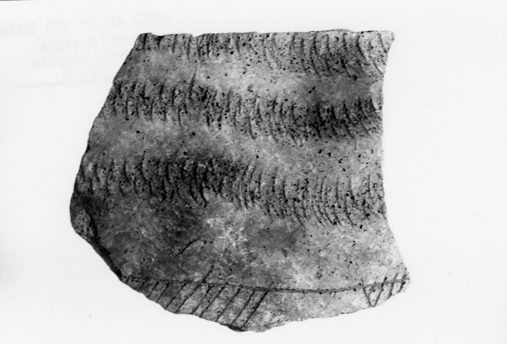 vaso/ frammento (Neolitico Antico)