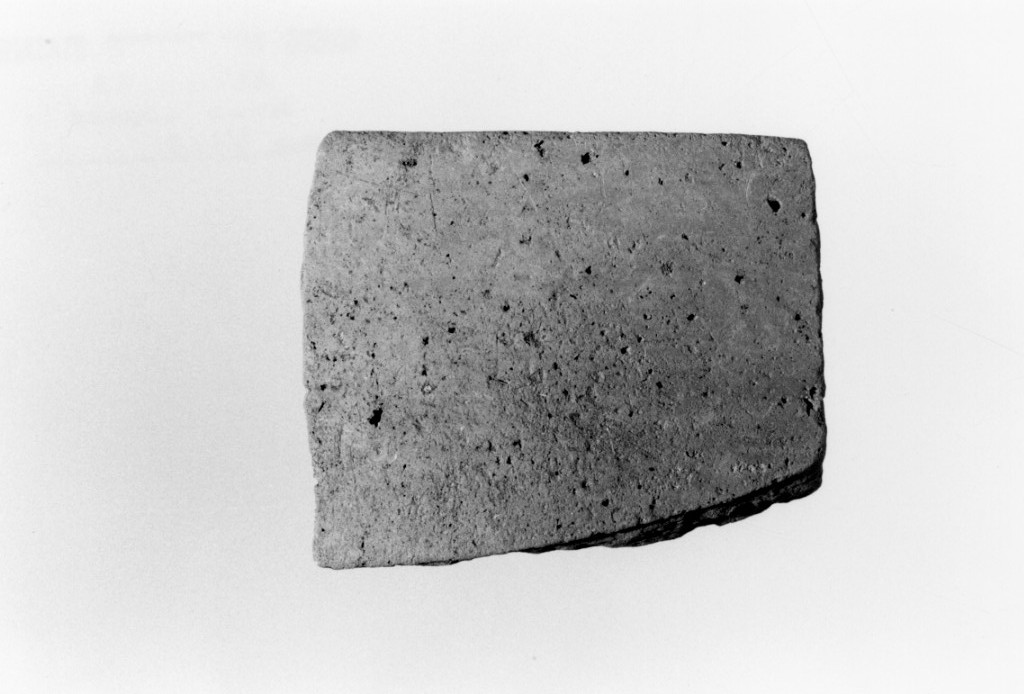 recipiente/ frammento (Neolitico Medio)