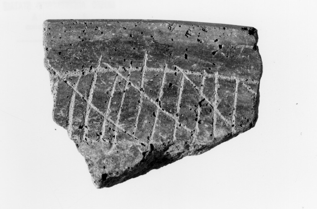 recipiente/ frammento (Neolitico Antico)