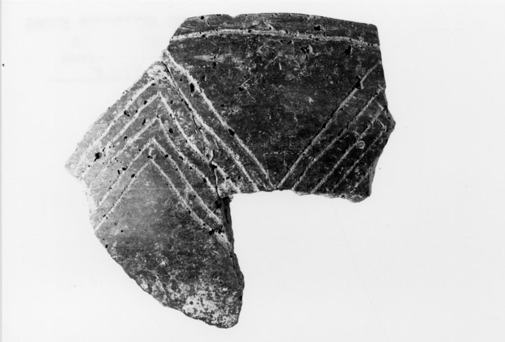 recipiente/ frammento (Neolitico Antico)