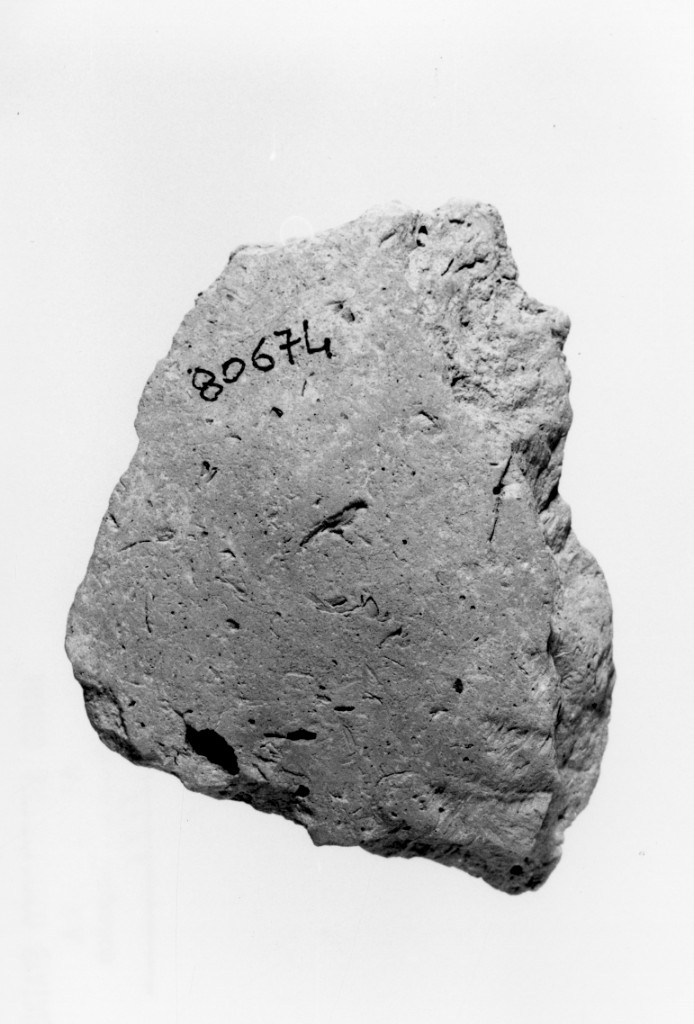 vaso/ frammento (Neolitico Antico)