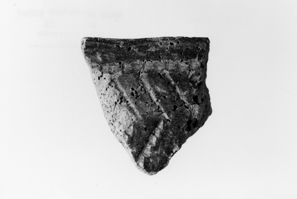 recipiente/ frammento (Neolitico Antico)