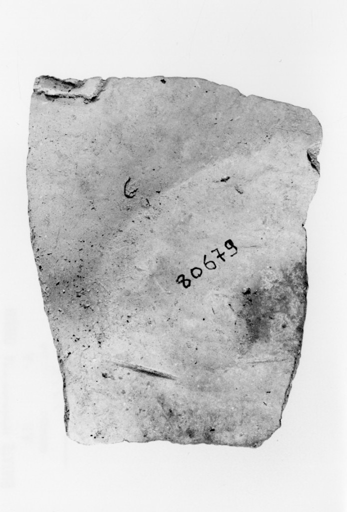 recipiente/ frammento (Neolitico Antico)