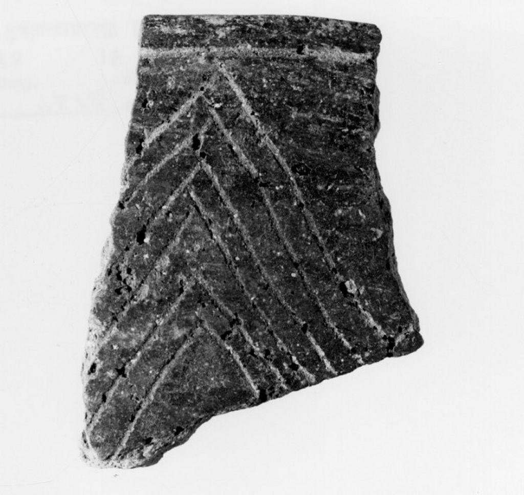 recipiente/ frammento (Neolitico Antico)