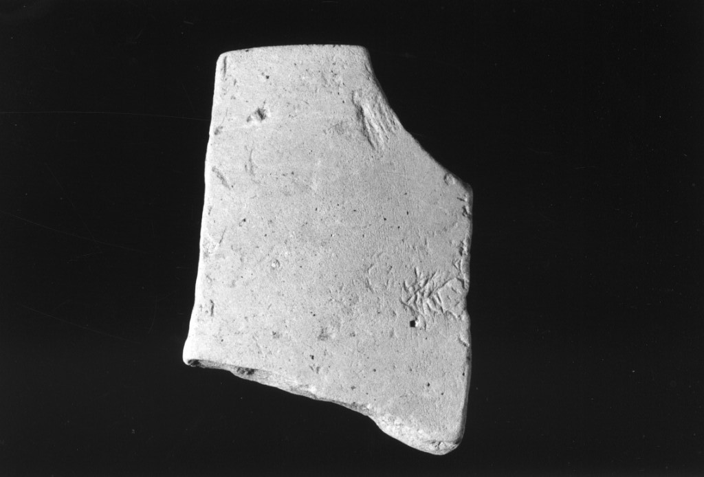 recipiente/ frammento (Neolitico Medio)