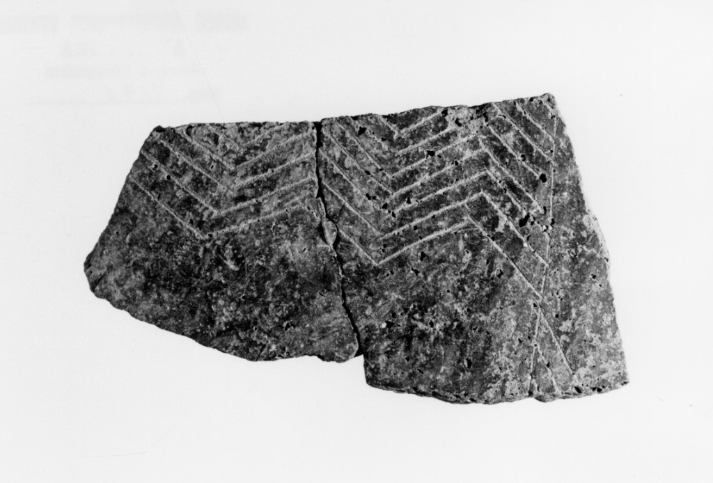 vaso/ frammento (Neolitico Antico)