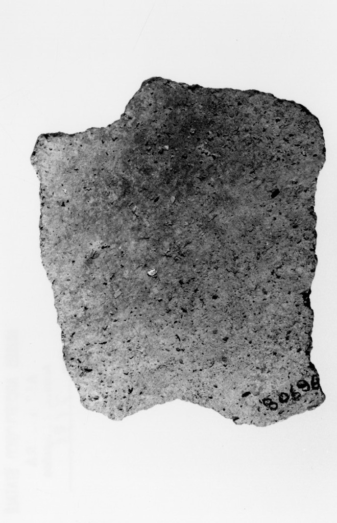 recipiente/ frammento (Neolitico Medio)