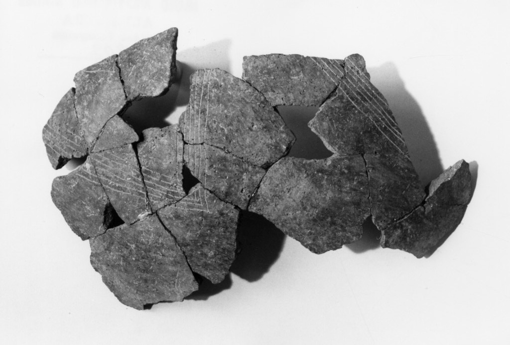 vaso/ frammento (Neolitico Antico)