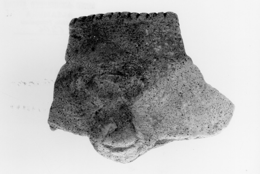 olletta/ frammento (Neolitico medio)