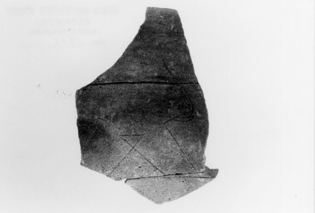 olla/ frammento (Neolitico recente)