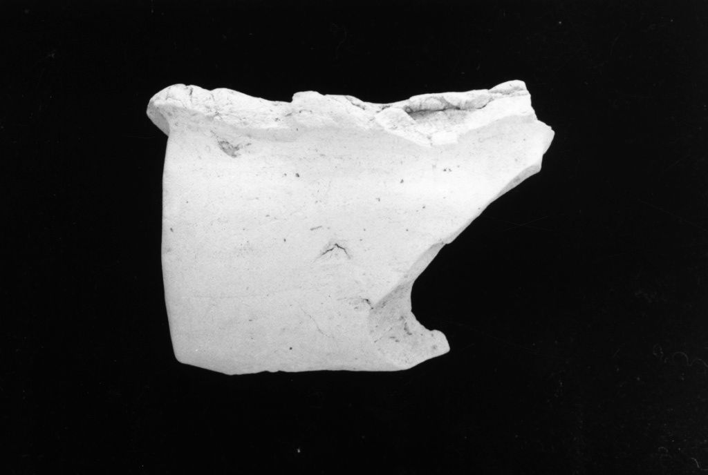 ansa (Neolitico medio)