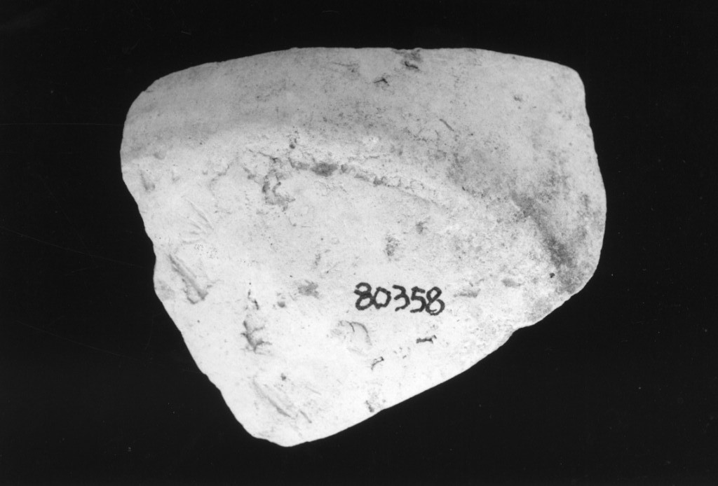 recipiente/ frammento (Neolitico medio)