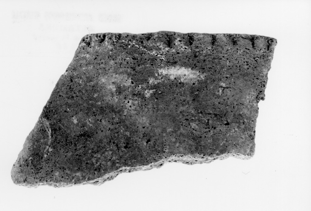 recipiente/ frammento (Neolitico medio)