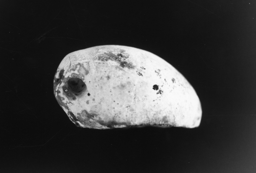 pendente - produzione locale (sec. VI a.C)