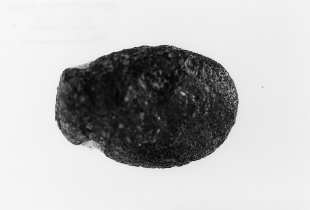 vago - produzione locale (secc. VII - IV a.C)