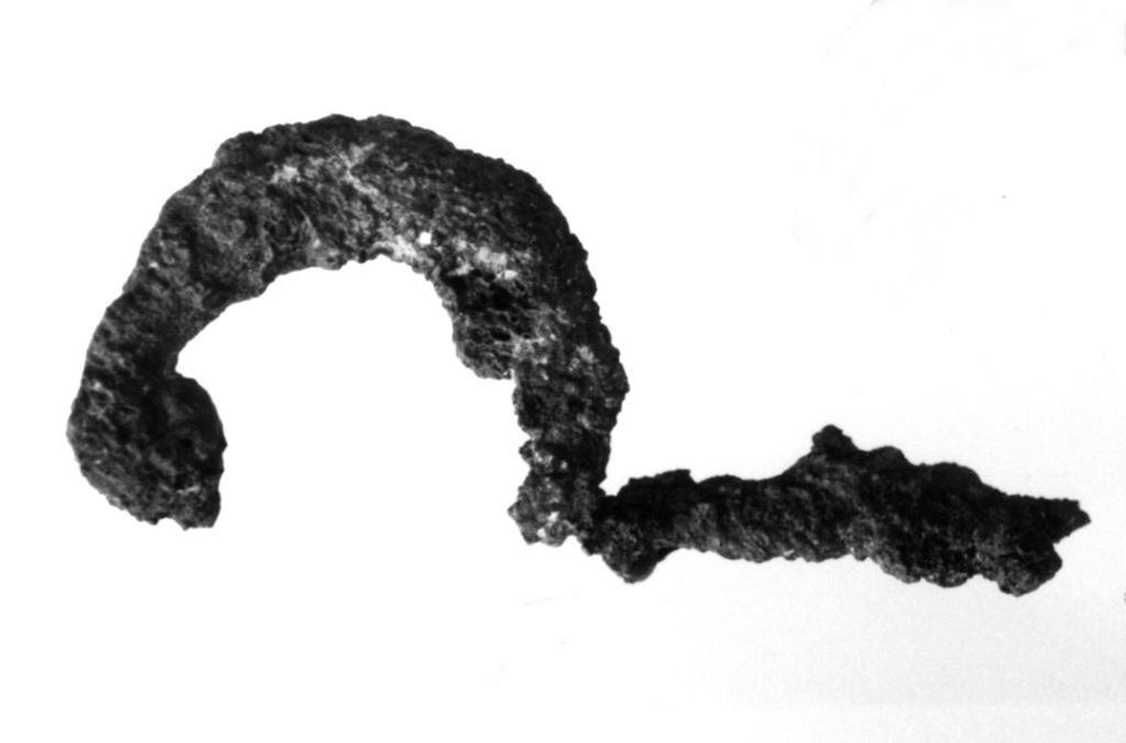 fibula - produzione peucezia (sec. VI a.C)