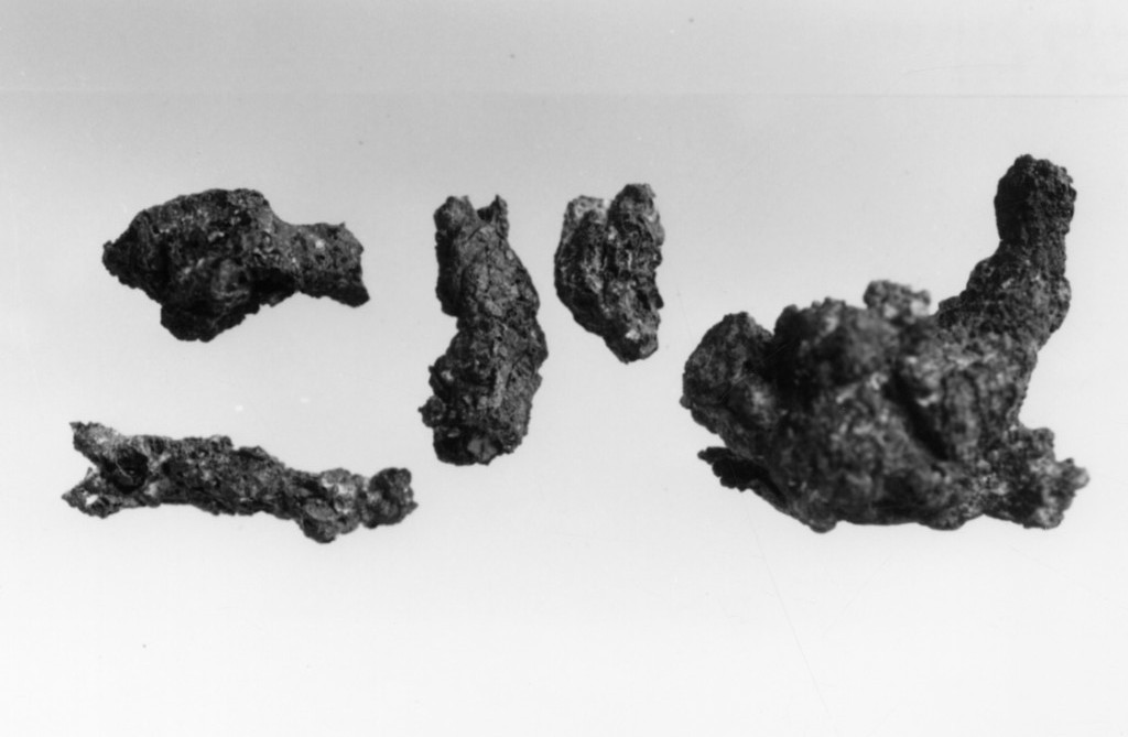 fibula/ frammento - produzione peucezia (sec. VI a.C)