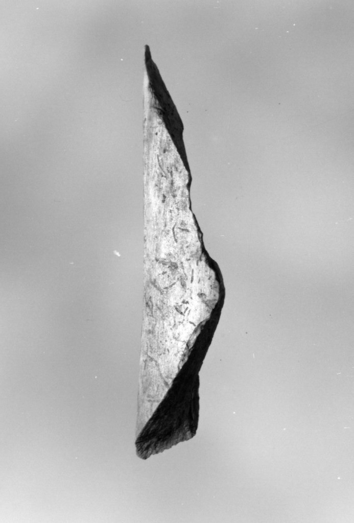 punteruolo (Neolitico Medio)