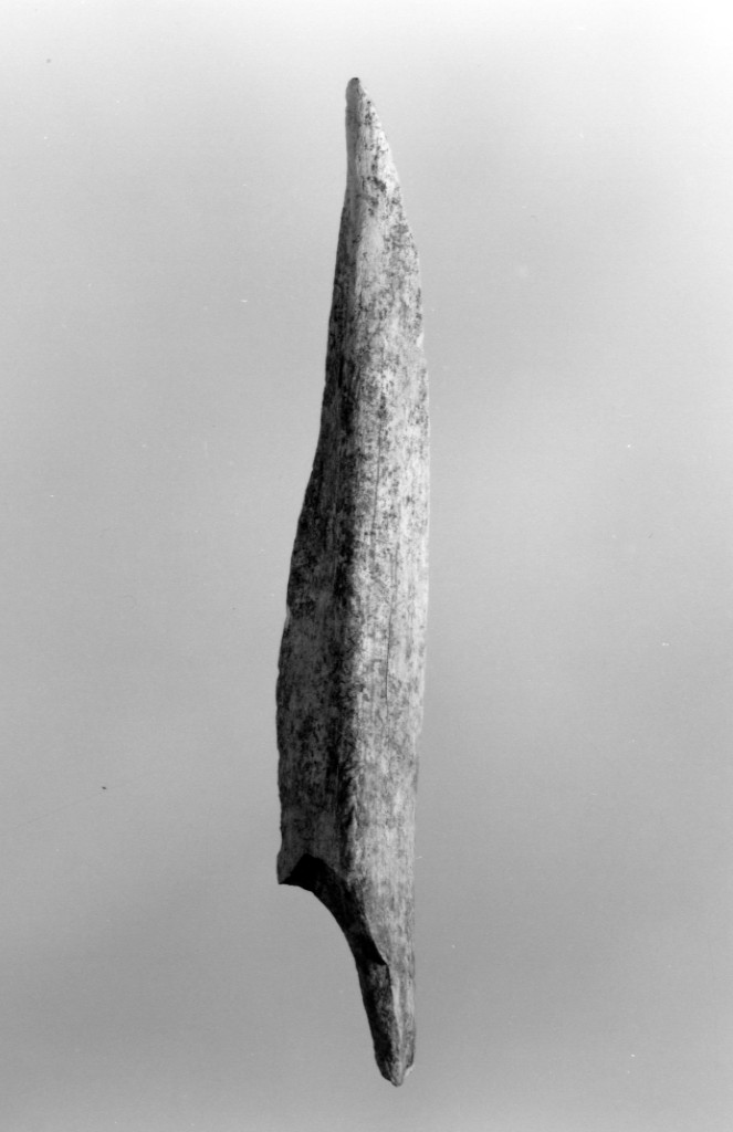 punteruolo (Neolitico Medio)