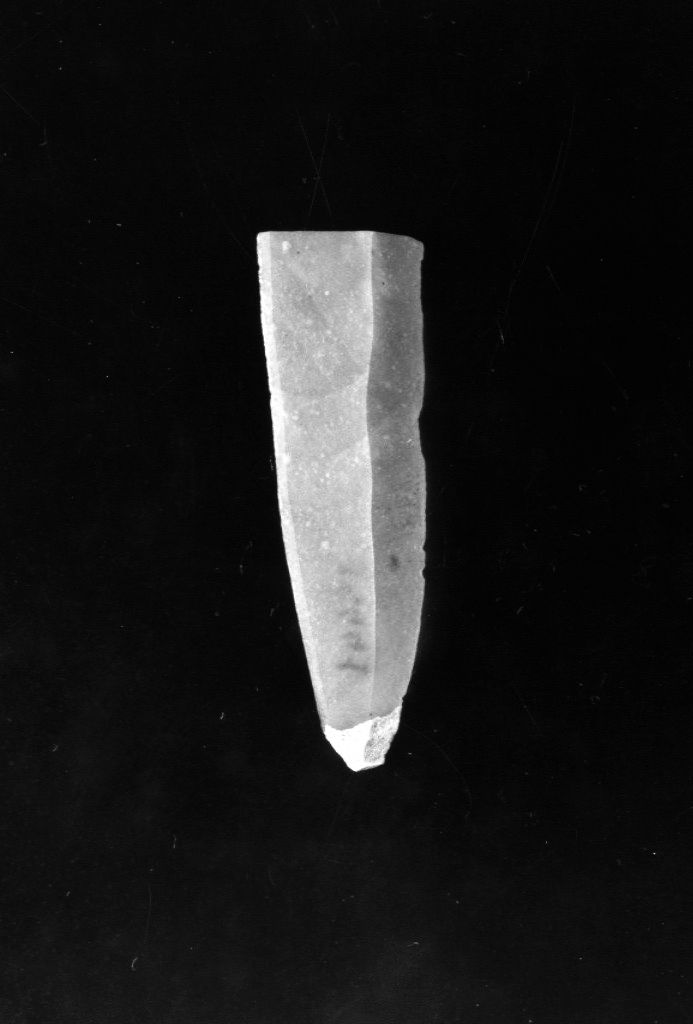 lama (Neolitico Medio)