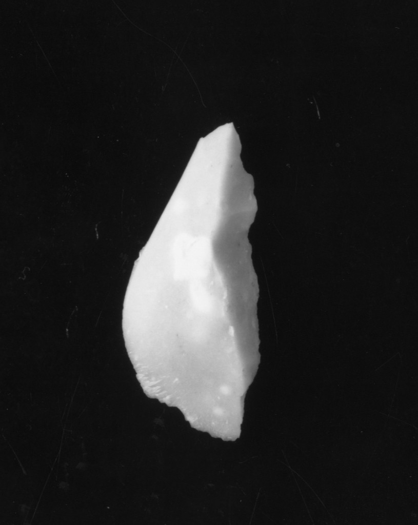 scheggia (Neolitico Medio)