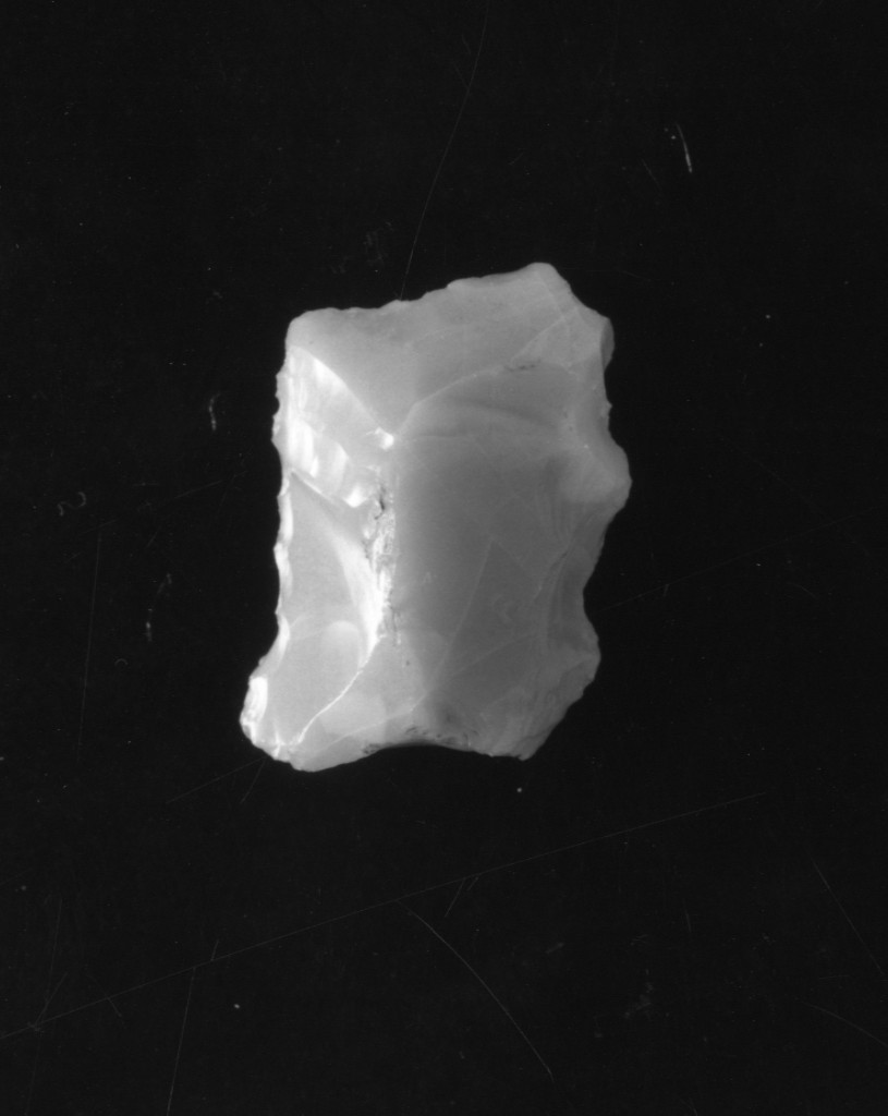 raschiatoio denticolato (Neolitico Medio)