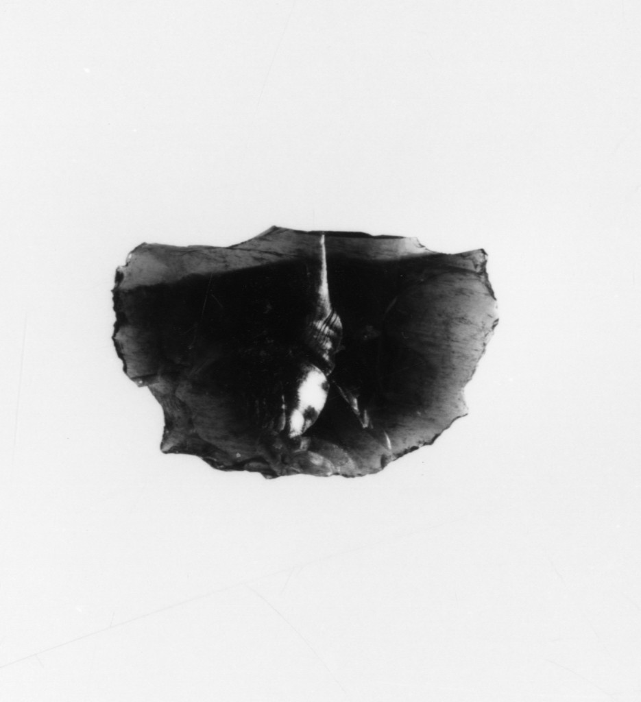 raschiatoio (Neolitico Medio)