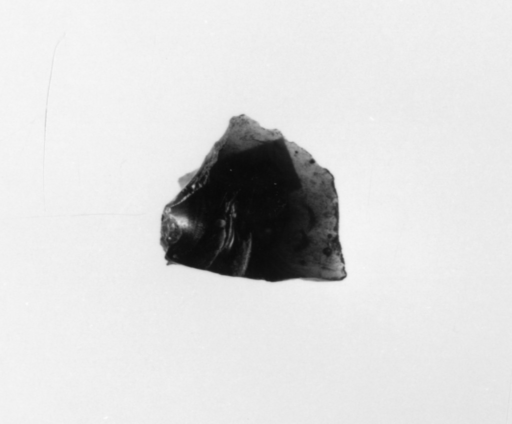 erto indifferenziato (Neolitico Medio)