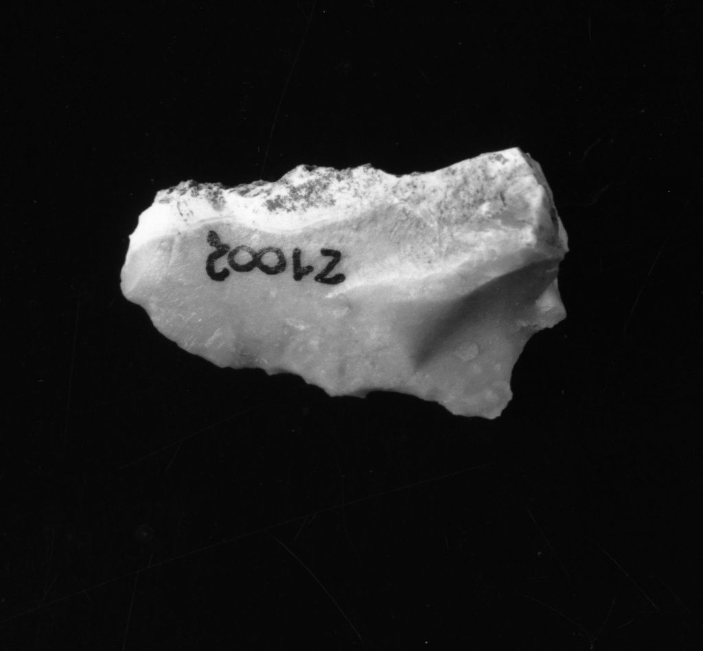 raschiatoio denticolato (Neolitico Antico-Medio)