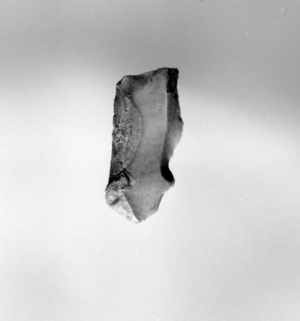 raschiatoio (Neolitico Antico-Medio)