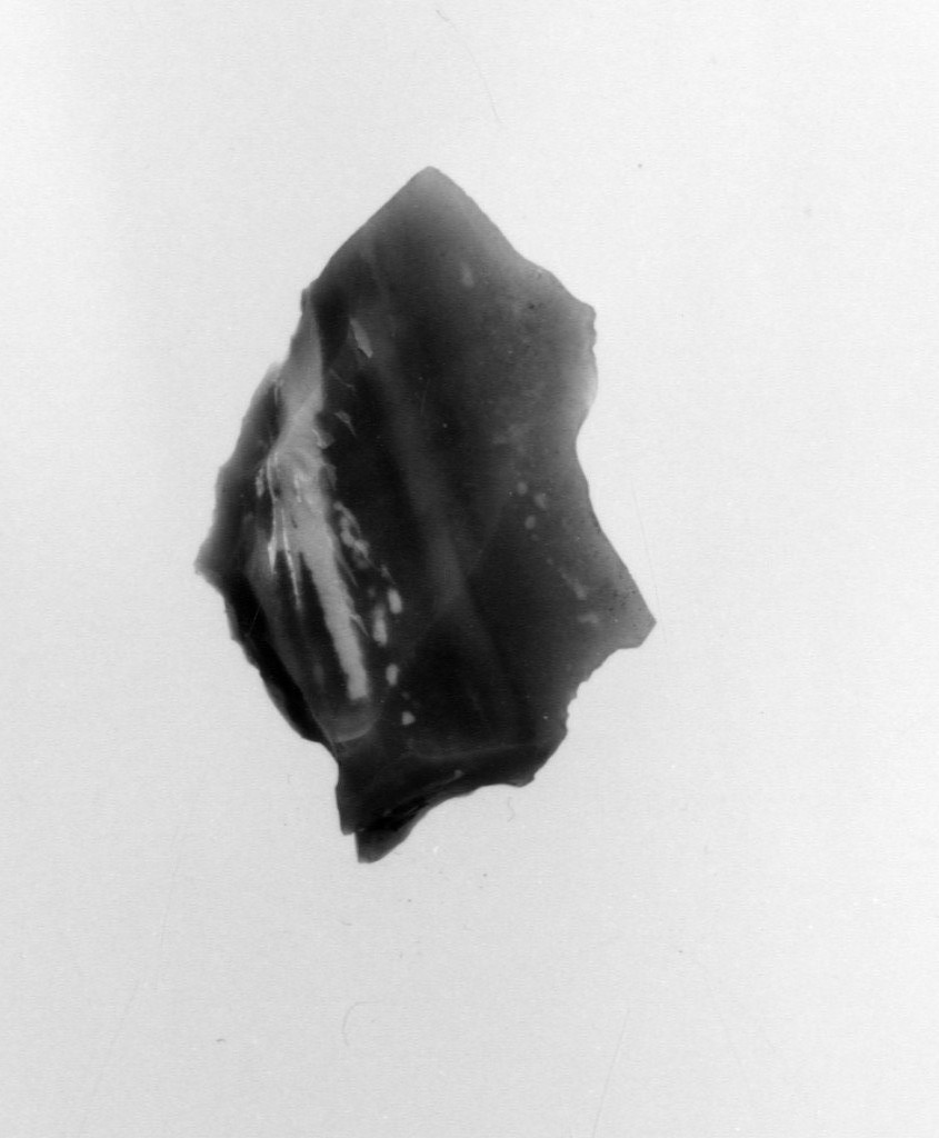 raschiatoio denticolato (Neolitico Antico-Medio)