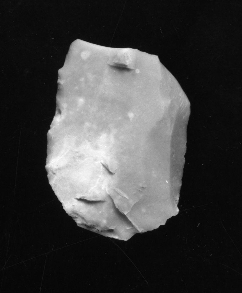 raschiatoio (Neolitico Antico-Medio)