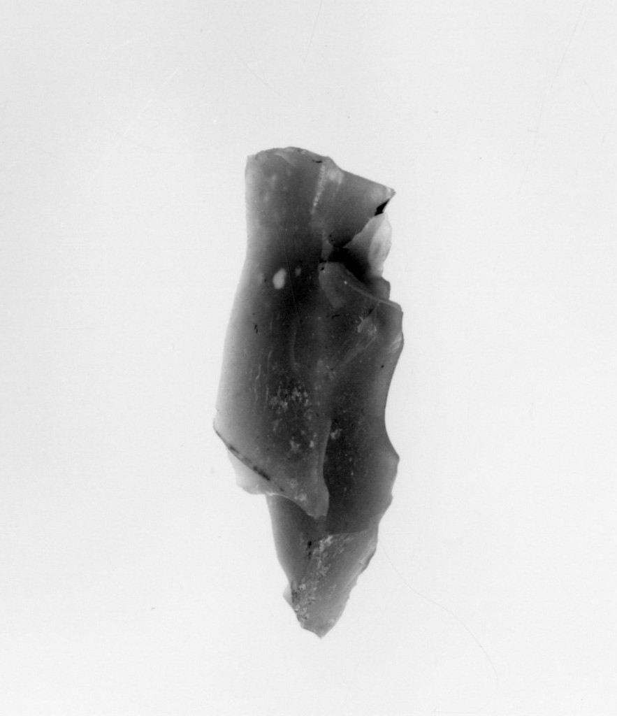 raschiatoio (Neolitico Antico-Medio)