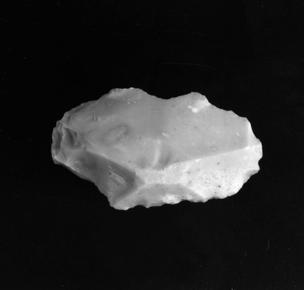 raschiatoio denticolato (Neolitico Antico-Medio)