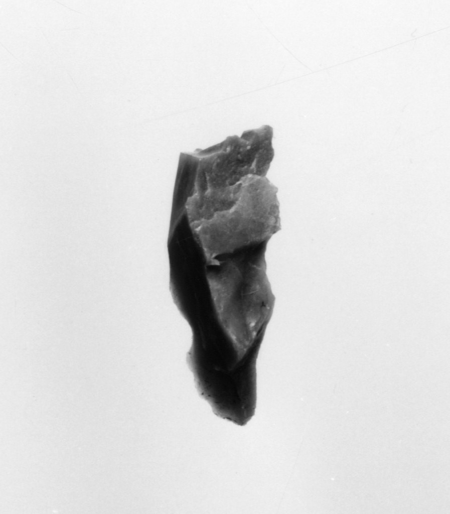 lama (Neolitico Antico-Medio)