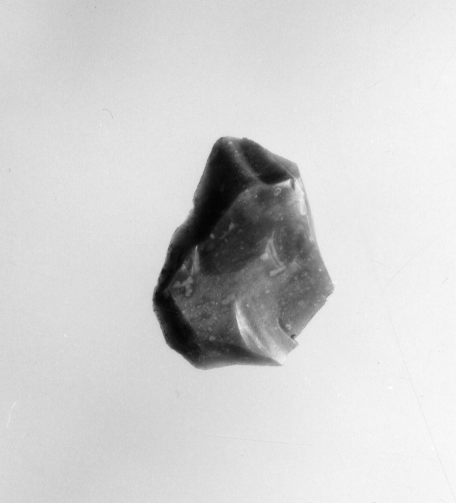 raschiatoio (Neolitico Antico-Medio)