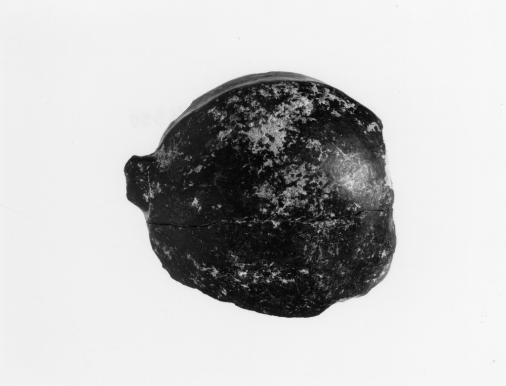 ciotola/ forma ricostruibile (Bronzo Medio)