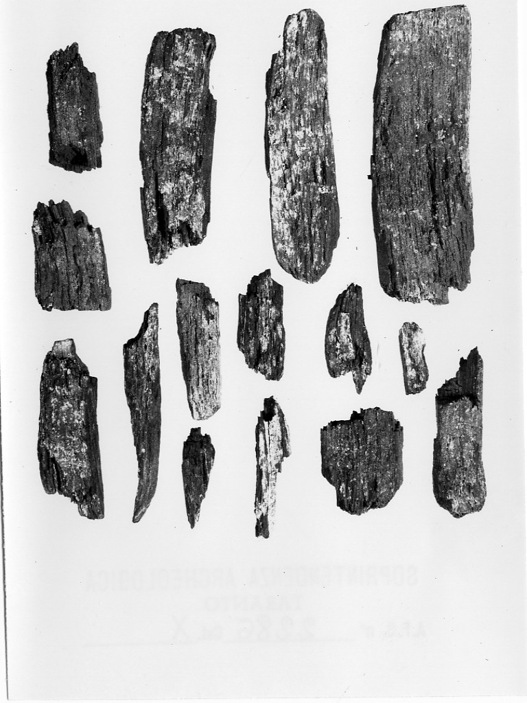 oggetto non identificato - fabbrica italiota (seconda metà sec. VI a.C)