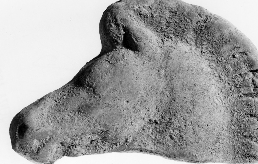 cavallo (terracotta figurata/ frammento) - fabbrica locale (sec. IV a.C)