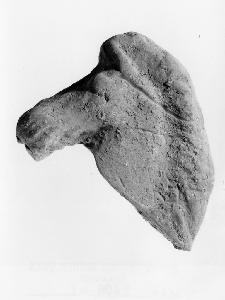 cavallo (terracotta figurata/ frammento) - fabbrica locale (sec. IV a.C)