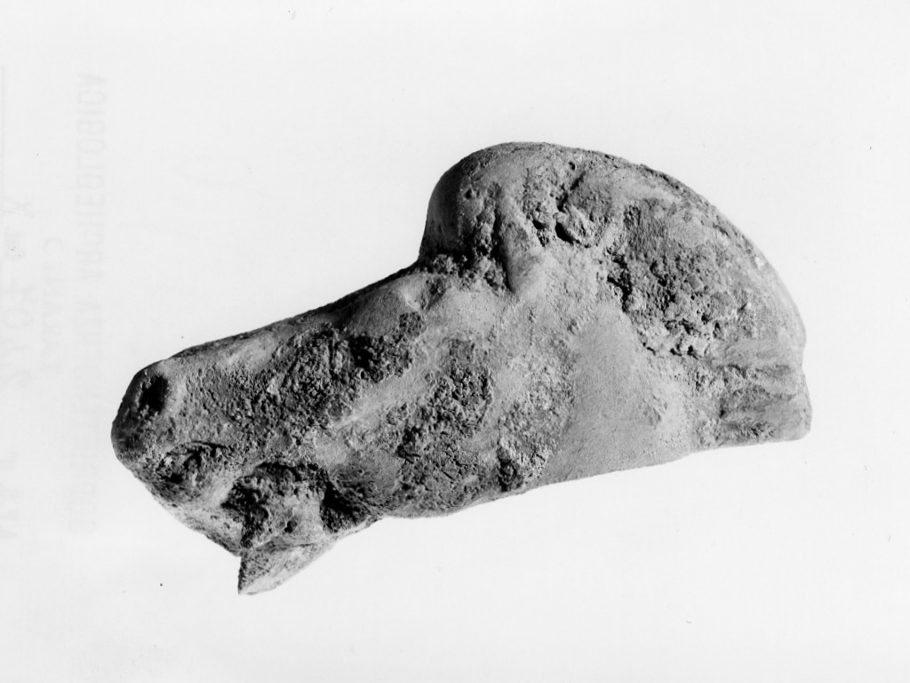 cavallo (terracotta figurata/ frammento) - fabbrica locale (sec. IV a.C)